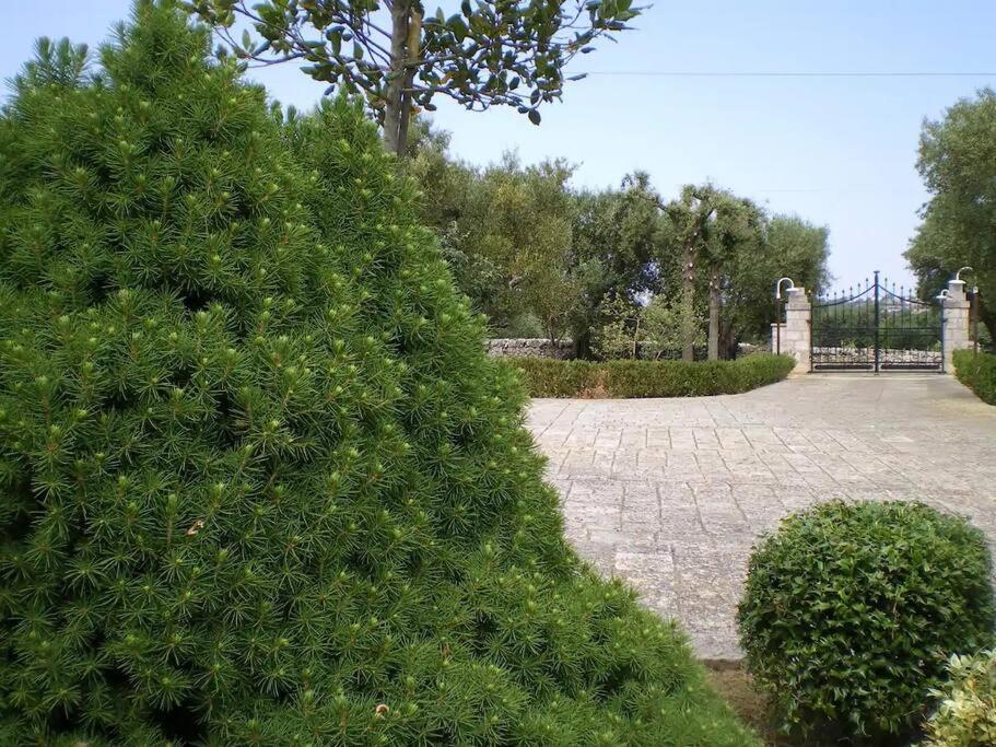 Trulli Giulivi Villa Locorotondo Kültér fotó